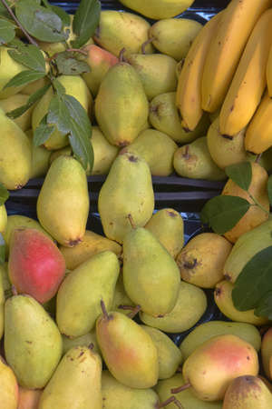 fresh fruit on the counter on saleの写真素材