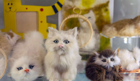 Zelenogradsk, Russia - 08/19/2020 - Murarium cats museum. Art cats collection in Krantz water tower. Souvenirs, figurines and toys with catsのeditorial素材