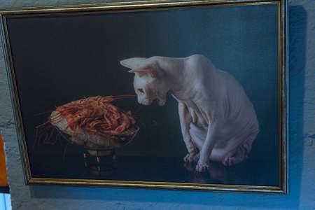 Zelenogradsk, Russia - 08/19/2020 - Murarium cats museum. Art cats collection in Krantz water tower. Souvenirs, figurines and toys with catsのeditorial素材