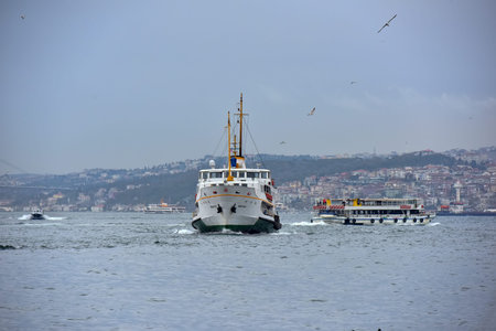 Turkey, Istanbul 03/08/2019 Cruise ship on the Bosphorus