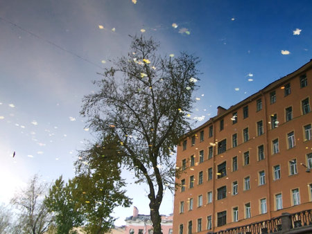 tree and multi-storey building - reflection in a puddle on the asphalt in summerの写真素材