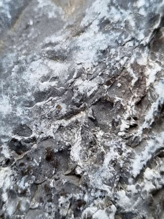 stone texture and veins on it close-up photoの写真素材