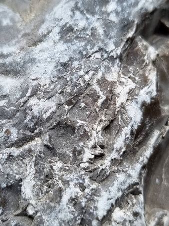 stone texture and veins on it close-up photo