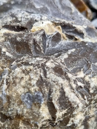 stone texture and veins on it close-up photo