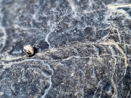 stone texture and veins on it close-up photo