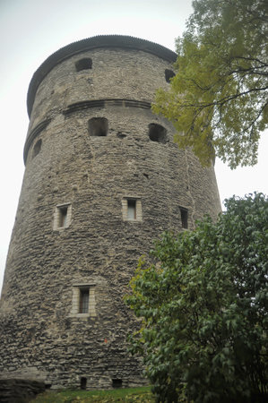 Estonia, Tallinn 10,10,2016 Fat Margarita is the tower of the Tallinn City Wall, located at the end...