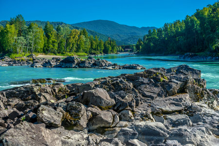 katun river with turquoise water and stones in the foregroundの写真素材
