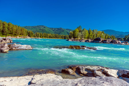 katun river with turquoise water and stones in the foregroundの写真素材