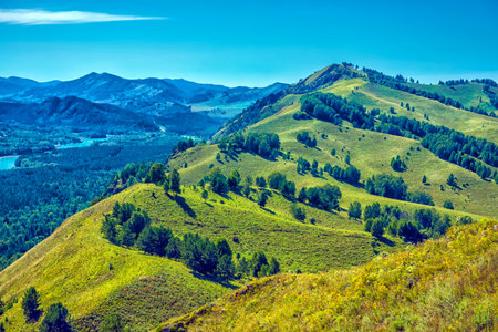 Summer landscape with hills and mountains of the Altai. Mountain Altai, Siberia, Russia.の写真素材