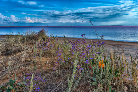 Sasyk Sivash is an amazing salt lake with pink water.の写真素材
