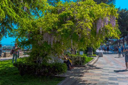 Yalta, Crimea 20,05,2021 Lenin embankment in the city center in the spring with touristsのeditorial素材