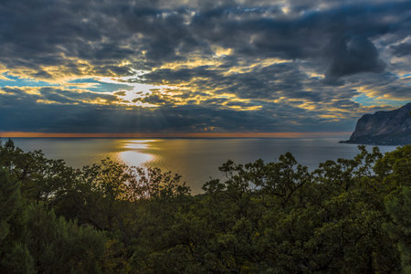 sunset over the sea through the trees in the foregroundの写真素材