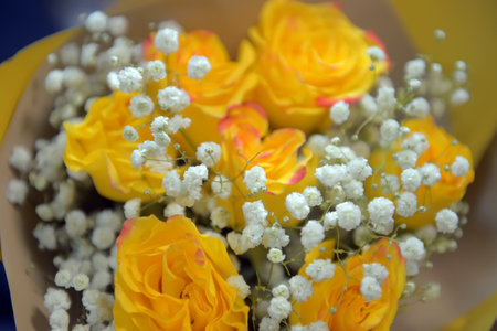 bouquet with yellow roses and white flowers for March 8の写真素材