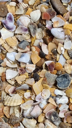 Pebbles from shells