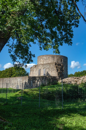 Ruins of Koporye fortress (2024)の写真素材