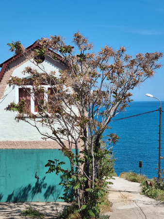 a small house in a Crimean village, standing on a hill near the shore. The building is made in light beige and mint tones, with a green gate and a window with curtains. In front of the house is a tree with an openwork crown, casting a light shadow on the facade. Behind the building there is a beautiful view of the endless Black Sea and a bright blue sky without a single cloud. The atmosphere is silence, warmth, southern tranquility, simplicity and beauty of Crimean life.の写真素材