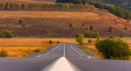 a country asphalt road, leading the eye into the golden autumn landscape. The road is smooth, with brightly outlined white markings, gradually disappearing over the horizon, rising to low hills covered with dry grass and trees. Bushes and single trees grow along the road. In the background there is a strip of birch trees and a dark forest. The lighting is warm, sunset, emphasizing the contrasts between the road and the surrounding nature.の写真素材