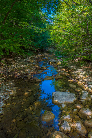 A quiet forest stream in the Crimean mountains, flowing between rocks and surrounded by dense greenery. The water is clear and reflects the sky and foliage, creating a play of light and color. The banks are covered with moss, roots and forest plants. This is a corner of wild nature, where you can feel silence, coolness and peace. A great shot for themes related to ecology, natural harmony, recreation away from civilization and the biodiversity of Crimea.の写真素材