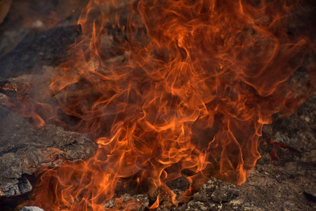 Bright flames engulf charred wood and ash. The photo captures intense fire in close-up, with flames curling into mesmerizing shapes. The atmosphere is filled with heat and motion, making it ideal for themes of energy, danger, destruction, or survival.の写真素材