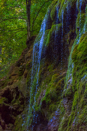 a picturesque mossy waterfall in the shade of a Crimean forest. Streams of water flow down a rock thickly covered with green moss, creating a sense of a fairy-tale atmosphere. Above, trees with bright foliage are visible, through which rays of sun break through. This place is typical of Crimean natural attractions - perhaps this is the Uchan-Su or Khapkhal waterfall. The photo conveys a sense of silence, solitude and freshness.の写真素材