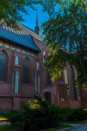 The photograph shows the Kaliningrad Cathedral (formerly the KÃ¶nigsberg Cathedral). It is a majestic red-brick Gothic building with tall lancet windows and decorative elements. The spire-shaped tower with a weather vane is visible, and the facade is partially hidden by the foliage of the trees, creating a play of light and shadow on the brick surface. In the frame is a fragment of a paved path and thick green bushes in the foreground. The atmosphere is peaceful, the architecture is expressive and majestic.の写真素材