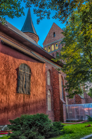 The Kaliningrad Cathedral is one of the main architectural and historical symbols of the city. The photo was taken from an unusual angle, showing the side of the building with Gothic windows, brickwork and a spire reaching into the sky. The evening sun softly illuminates the facade, giving it a warm shade. In the foreground there is green grass and bushes, and in the right corner there is a transparent covered gallery leading to the entrance. The crown of trees frames the building, emphasizing the atmosphere of silence and comfort.の写真素材