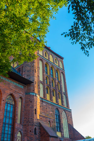 the tower of the Cathedral in Kaliningrad, the architectural dominant of Kant Island. The building is made in the Gothic style of red brick with characteristic narrow lancet windows and decorative arches. Warm evening light beautifully emphasizes the structure of the facade and gives the building a golden hue. Tree branches softly frame the composition, adding a natural accent to the strict architecture. The view from the bottom makes the tower majestic and aimed at the skyの写真素材