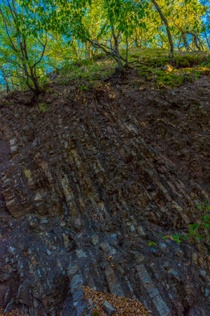 a steep rocky slope covered with moss, tree roots and fallen leaves. The rock is visible in cross-section and has a pronounced layered structure - it is slate or layered limestone. The slope is covered with deciduous forest at the top, sunlight breaks through the tree crowns. The photo conveys the texture of the rock, natural erosion, and the combination of geological and biological elements well. Perfect for topics related to geology, nature, ecosystems and forest routes.の写真素材