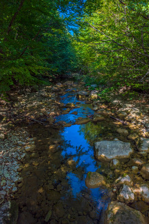 A quiet forest stream in the Crimean mountains, flowing between rocks and surrounded by dense greenery. The water is clear and reflects the sky and foliage, creating a play of light and color. The banks are covered with moss, roots and forest plants. This is a corner of wild nature, where you can feel silence, coolness and peace. A great shot for themes related to ecology, natural harmony, recreation away from civilization and the biodiversity of Crimea.の写真素材