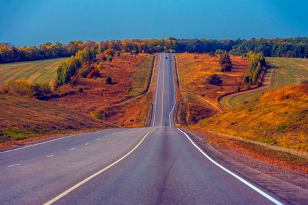 A long, straight paved road leads into the distance through a hilly autumn landscape. The sides of the road and the surrounding fields are painted in the golden-red tones typical of autumn. On both sides of the road there are forest belts and sparse trees, and on the horizon there is a dense forest. A bright blue sky without clouds emphasizes the depth of the perspective and emphasizes the contrast with the warm tones of the earth. The road is almost empty - only a few cars are visible in the distance. The image symbolizes freedom, travel, the road ahead.の写真素材