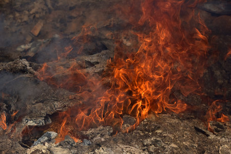 Bright flames engulf charred wood and ash. The photo captures intense fire in close-up, with flames curling into mesmerizing shapes. The atmosphere is filled with heat and motion, making it ideal for themes of energy, danger, destruction, or survival.の写真素材