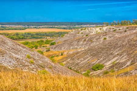 a picturesque view of chalk hills covered with dry steppe vegetation. In the foreground is tall dry grass, typical of the southern Russian steppe. Whitish stripes of chalk and sparse bushes are visible on the slopes of the hills. Below is a green valley with trees, behind it are yellow fields and a village. On the horizon, a forest and a light haze are visible. The bright blue sky without clouds emphasizes the contrast between the hills and the plain. This is probably one of the natural landscapes of the Voronezh region, for example, Divnogorye.の写真素材