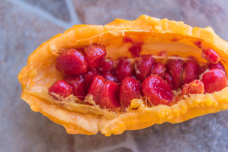 The fruit of Momordica charantia, also known as bitter melon or Indian cucumber. The fruit is cut open, revealing its distinctive bright orange skin and the juicy, deep red seeds inside. The seeds are smooth and glossy, and are tightly packed into the fruit cavity. This exotic plant is known for its medicinal properties and is used in traditional medicine and cooking, especially in Asian countries. In the background is a blurred stone or tile surface.の写真素材