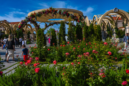 The photograph shows a fragrant blooming rose garden in the historical and cultural complex "New Chersonesus" in Sevastopol. In the foreground are lushly blooming pink and scarlet roses, framed by well-groomed greenery. In the background are decorative arches entwined with fresh flowers, creating a festive atmosphere. Visitors - families, children, tourists - stroll along the paths. The bright sun, clear blue sky and carefully decorated architecture create a sense of celebration and spiritual harmony.の写真素材