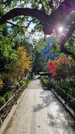 A picturesque alley in the park, bathed in soft sunlight. The paved path goes into the distance,...