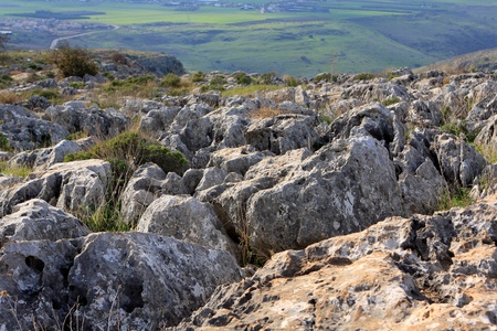 Landscape with big stones on the fieldの写真素材