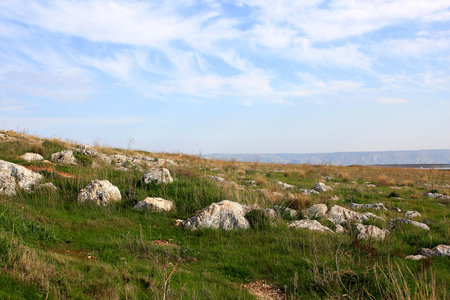Landscape with a field with green grass, stones and blue sky