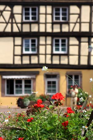 Flowers and Colmar typical architecture on the background Alsace Franceのeditorial素材