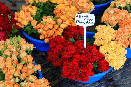 Beautiful flowers in flower market in Freiburg im Breisgau, Germanyの写真素材