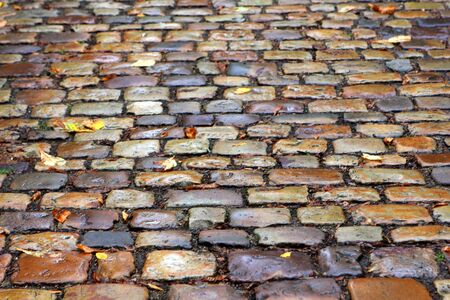 Wet pavement after rain with yellow foliageの写真素材