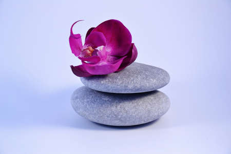 zen stonesの写真素材