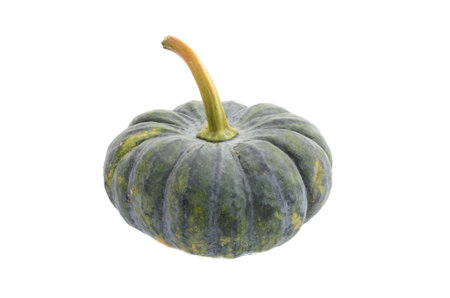 green pumpkin の写真素材