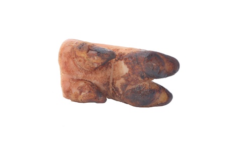 fresh pig trotter on white backgroundの写真素材