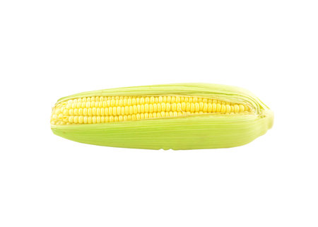 Ear of corn isolated on white