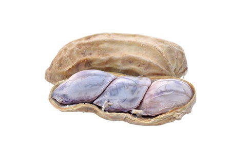 streamed peanuts (with clipping path)の写真素材