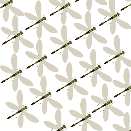 Abstract design dragonflyの写真素材