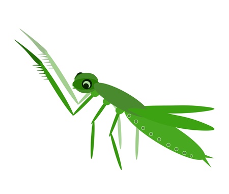 Grasshopperの写真素材