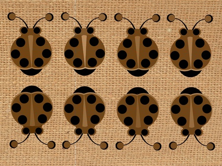 Beetles on a backgroundの写真素材