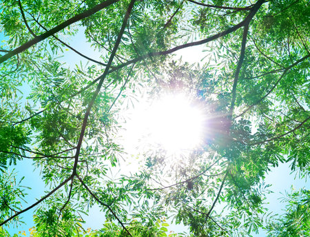 Beams of the sunの写真素材