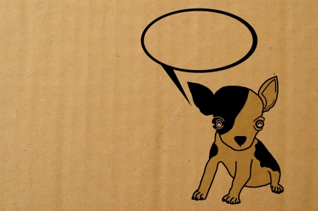 chihuahua dogの写真素材